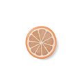 Bogg Bit  - Orange Slice - Carry Better